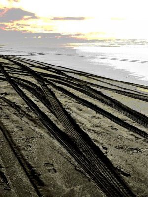 Beach-Tracks.jpg